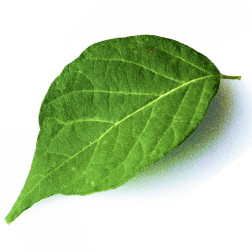 Enerbio