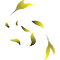 IDEA Art sp. z o.o.