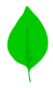 Powerofgreen sp. z o.o.